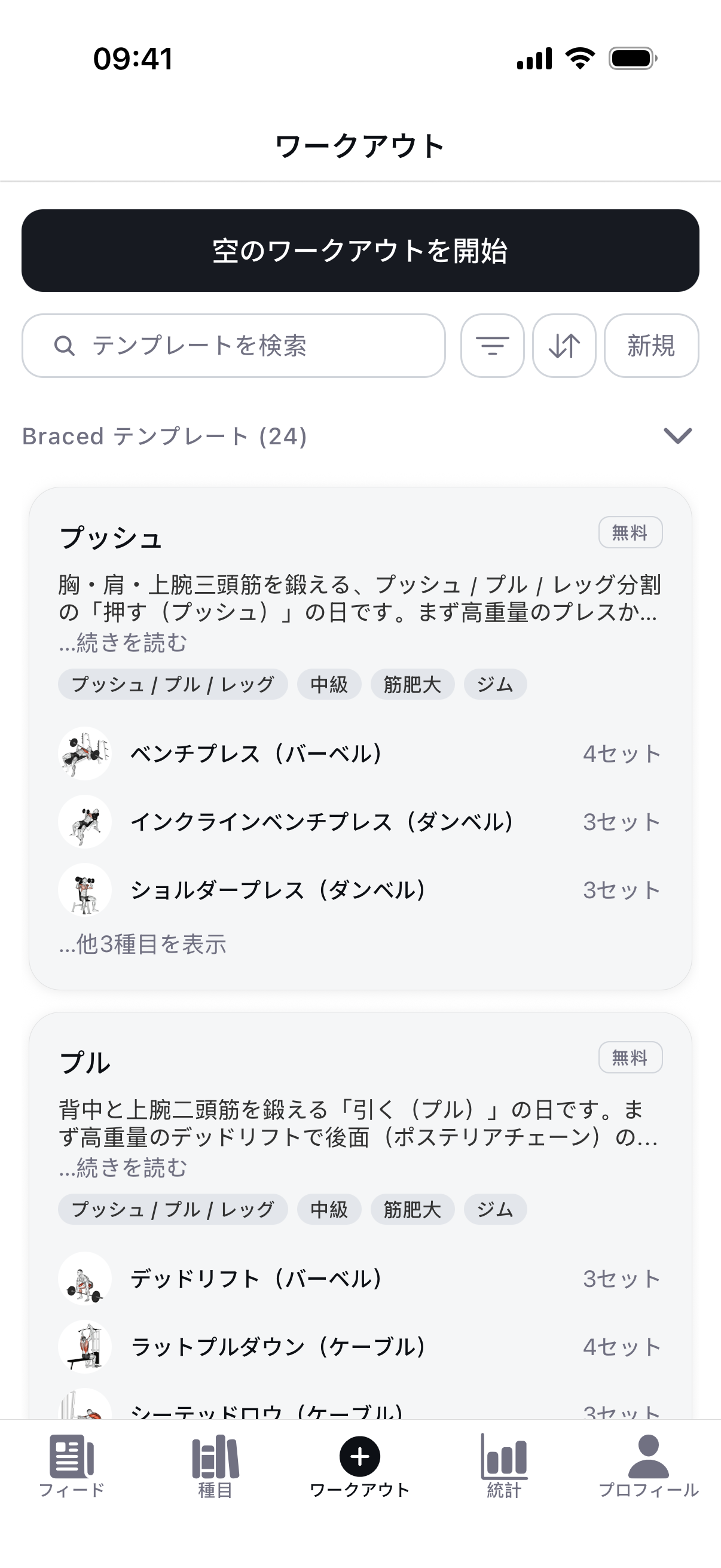 Braced shown in Japanese, one of 11 supported languages